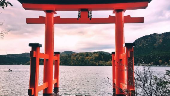 日本+東京+箱根湯本+大涌谷一日遊/行程可調-可客製化多日遊