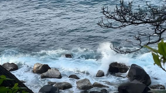 日本東京+伊豆+熱海花火大會一日遊/行程可調-可定制多日