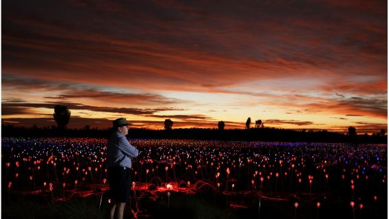Uluru Sunset Dinner + Field of Light Exhibition [Gourmet Dinner + English Service + Hotel Transfers]