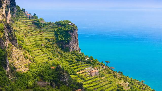 Praktischer Kochkurs & Bauernhofbesichtigung an der Amalfiküste