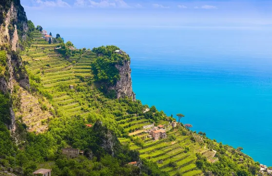 阿馬爾菲海岸的烹飪實作課程和農舍參觀