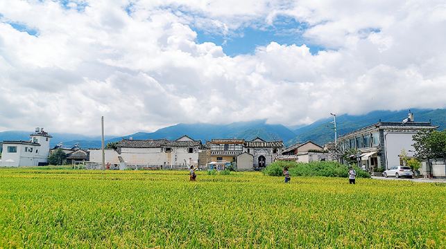 雲南大理環洱海一日遊【生態廊道騎行+喜洲+雙廊+聖托里尼】