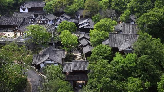 杭州特色體驗