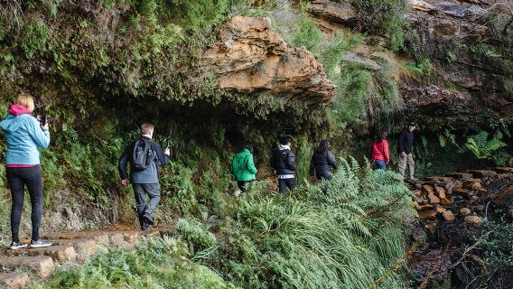 Kleingruppen-Tour durch die Blue Mountains mit Wildtierbeobachtung und Buschwanderungen ab Sydney