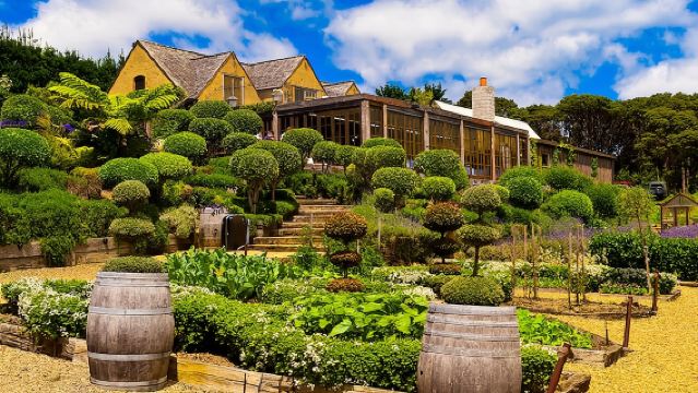 Waiheke island Wine Tours - PREMIUM wine tasting MAX 11 clients !