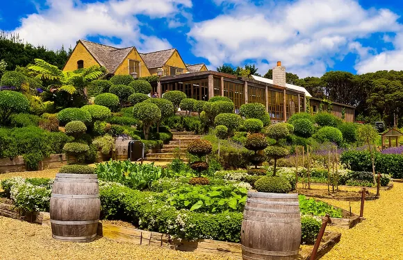 懷希基島葡萄酒之旅 - 尊貴品酒體驗，最多11位客人！