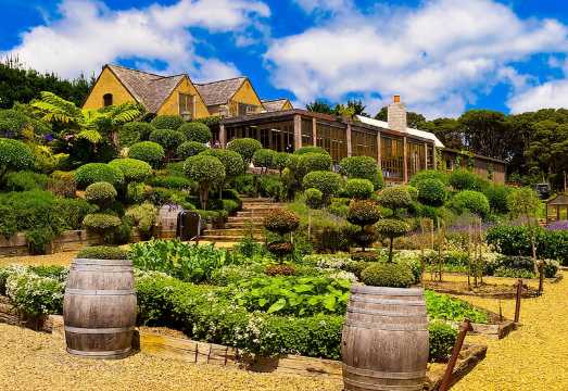 Waiheke island Wine Tours - PREMIUM wine tasting MAX 11 clients !