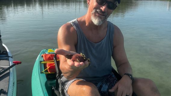 Bonita Springs Eco Kayak Tour – Best Gear, Premium&Clear Kayaks