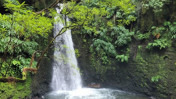 Discover and Hike São Miguel with Rúben