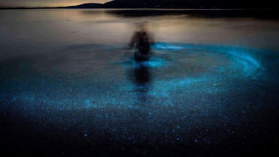 Cocoa Beach: Bioluminescent Paddle Raft Tour