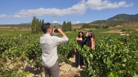 From La Rioja or Pamplona: La rioja wines tour