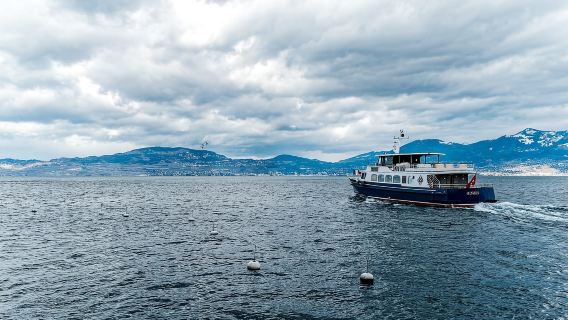 Ginebra: crucero de 50 minutos por el lago Lemán