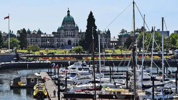 泡菜酒吧之旅：渡輪之旅和開胃菜