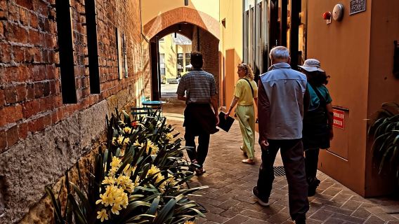 Sydney: City Sights Walking Tour