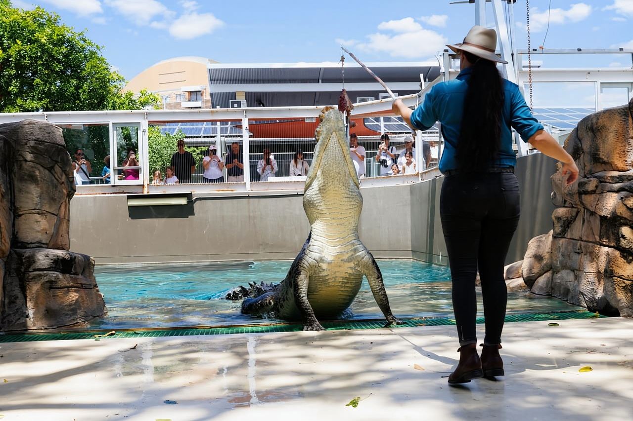 Darwin: Crocosaurus Cove Entry & Hop-on-Hop-Off Bus Tour