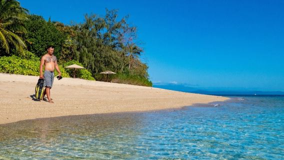 Low Island: Guided Boat Tour from Port Douglas + Snorkelling + Tea