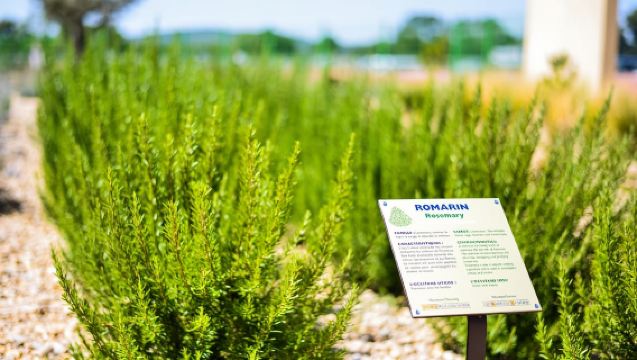 Manosque: Visita guiada a la fábrica de L'Occitane en Provence
