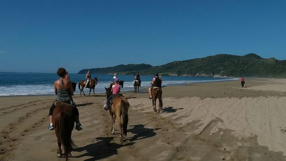 Horseback Riding on the Beach
