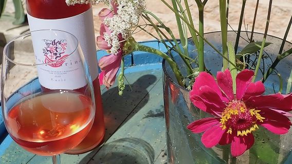 Hvar Wine tasting small group experience