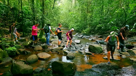 Tour por la Selva Tropical de Sinharaja en Sri Lanka con Transporte