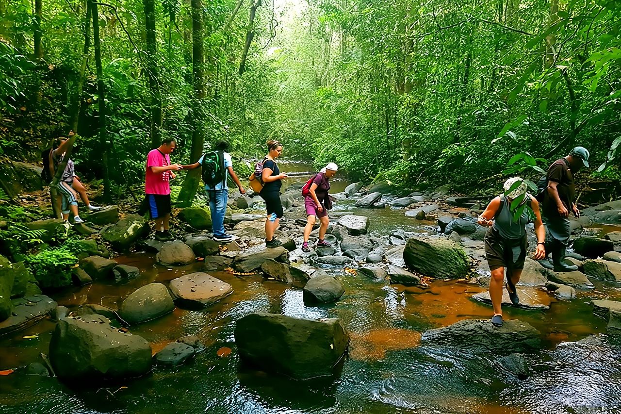 Lawatan Hutan Hujan Sinharaja Sri Lanka dengan Pengangkutan