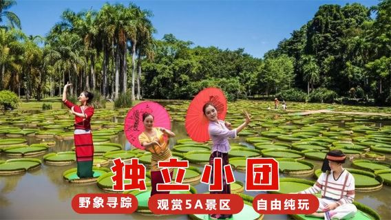 雲南中國科學院西雙版納熱帶植物園+野象谷一日遊【獨立汽車】
