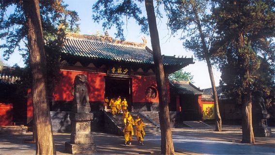Private Day Tour of Shaolin Temple and Longmen Grottoes from Zhengzhou