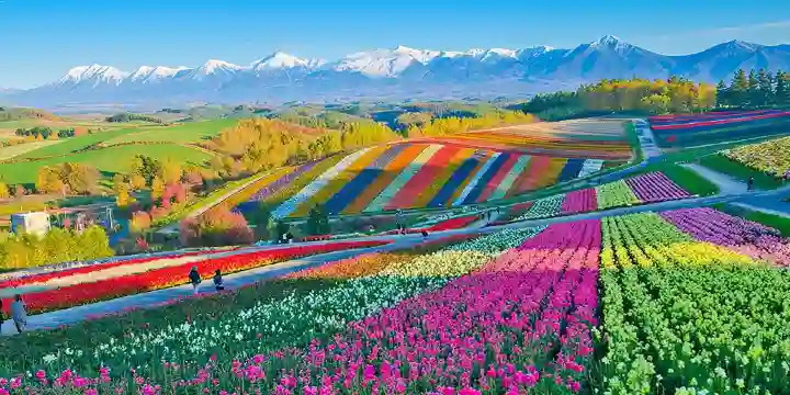 삿포로일일투어