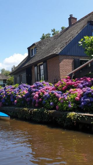 From Amsterdam: Giethoorn in-depth 1-day tour including 1-hour cruise + small group of 8