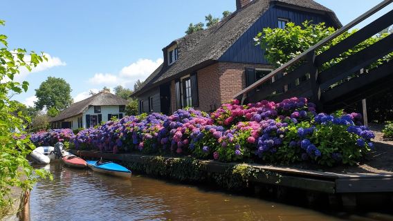 Giethoorn one-day tour from Amsterdam (1-hour boat tour + 8-person group)