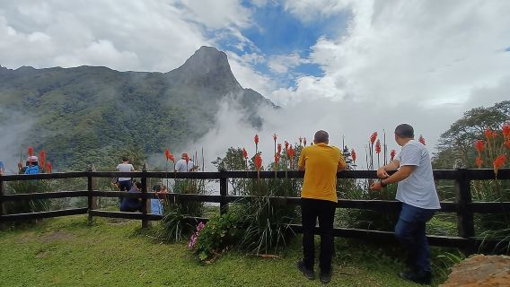 Jelajah litar burung kolibri Lembah Cocora