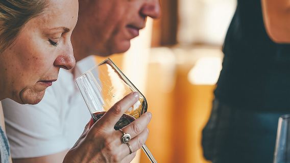 ทัวร์ชิมไวน์ Valpolicella และ Amarone จากเวโรนา