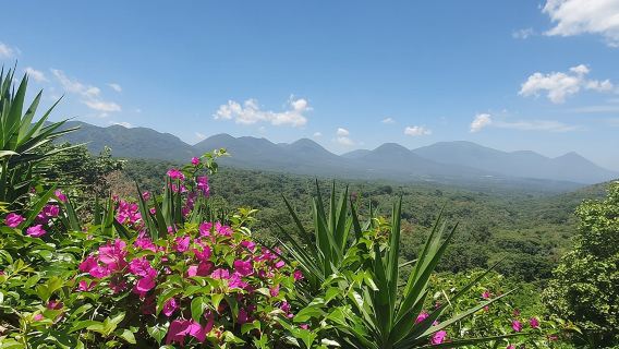 Giornata intera sulla Ruta de Las Flores, visita a quattro città coloniali e a una piantagione di caffè
