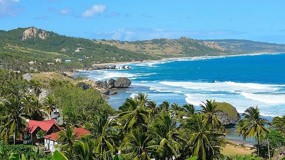 Lawatan Pulau Barbados dengan Makan Tengahari dan Perlindungan Hidupan Liar