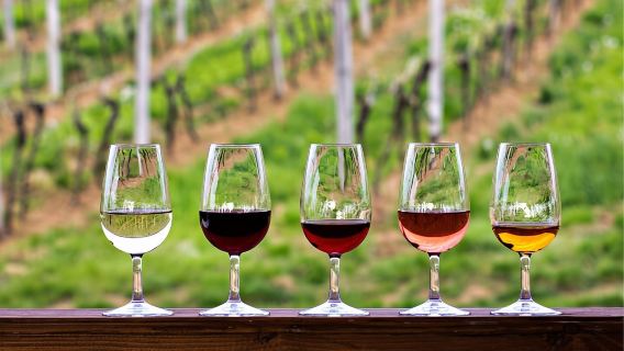 Half-Day Hill Country Wine Shuttle From Austin