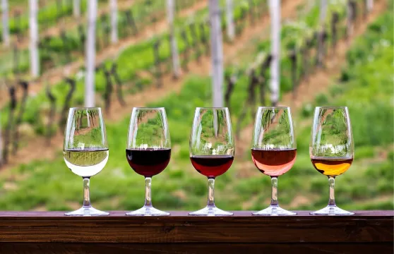 從奧斯汀出發的半日希爾鄉村葡萄酒之旅