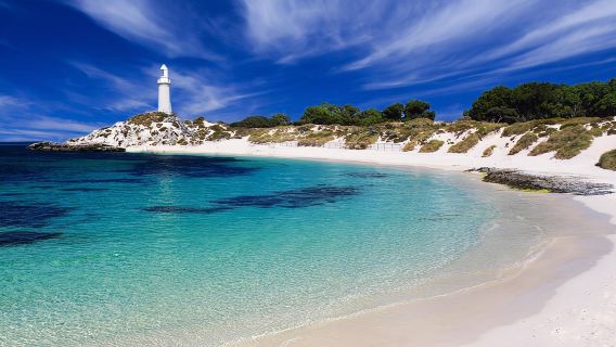 Rottnest Island Grand Tour Including Lunch and Historical Train Ride