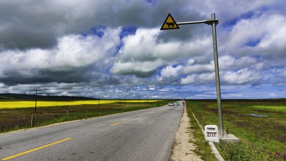 【環遊青海湖】黑馬河+環湖西路+網紅斷崖+觀賞湟魚洄遊一日遊