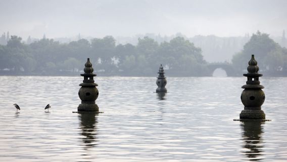 Pagoda Leifeng de Hangzhou + Paseo en crucero por la zona panorámica del Lago Oeste (sin visita a la isla) + visita guiada de medio día