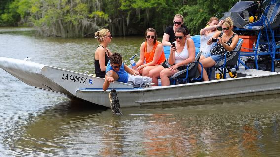 Tour in airboat per piccoli gruppi nella palude con prelievo dal centro di New Orleans