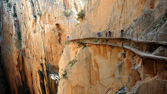 Caminito del Rey guided tour with transfer from Málaga