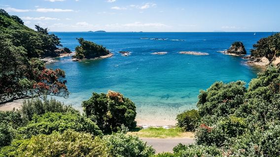 4.5-Hour Scenic Wine Tour with Private Guide & Up to 12 Tastings