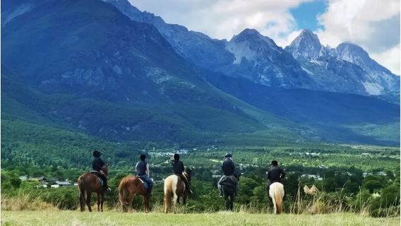 雲南麗江馬啃菠蘿馬術俱樂部/英式馬術課程+馬術體驗+野外騎行【專業教練指導+學習馬術基礎+與馬匹交流】