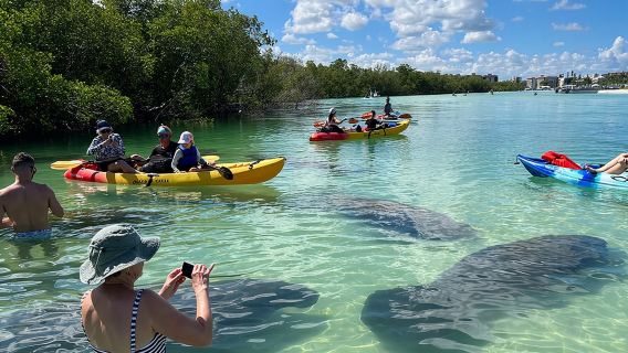 Self-Guided Island Tour: CLEAR/Standard Kayak, SUP-Bonita Springs
