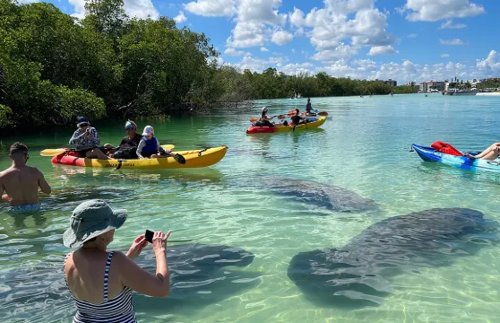 自助式島嶼遊覽：透明/標準皮划艇、立式槳板 - 博尼塔泉