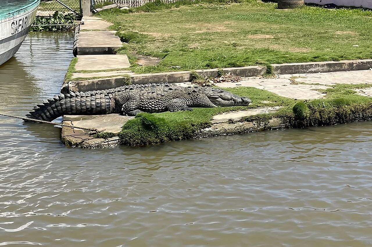 Tour zum Black River und den YS Falls