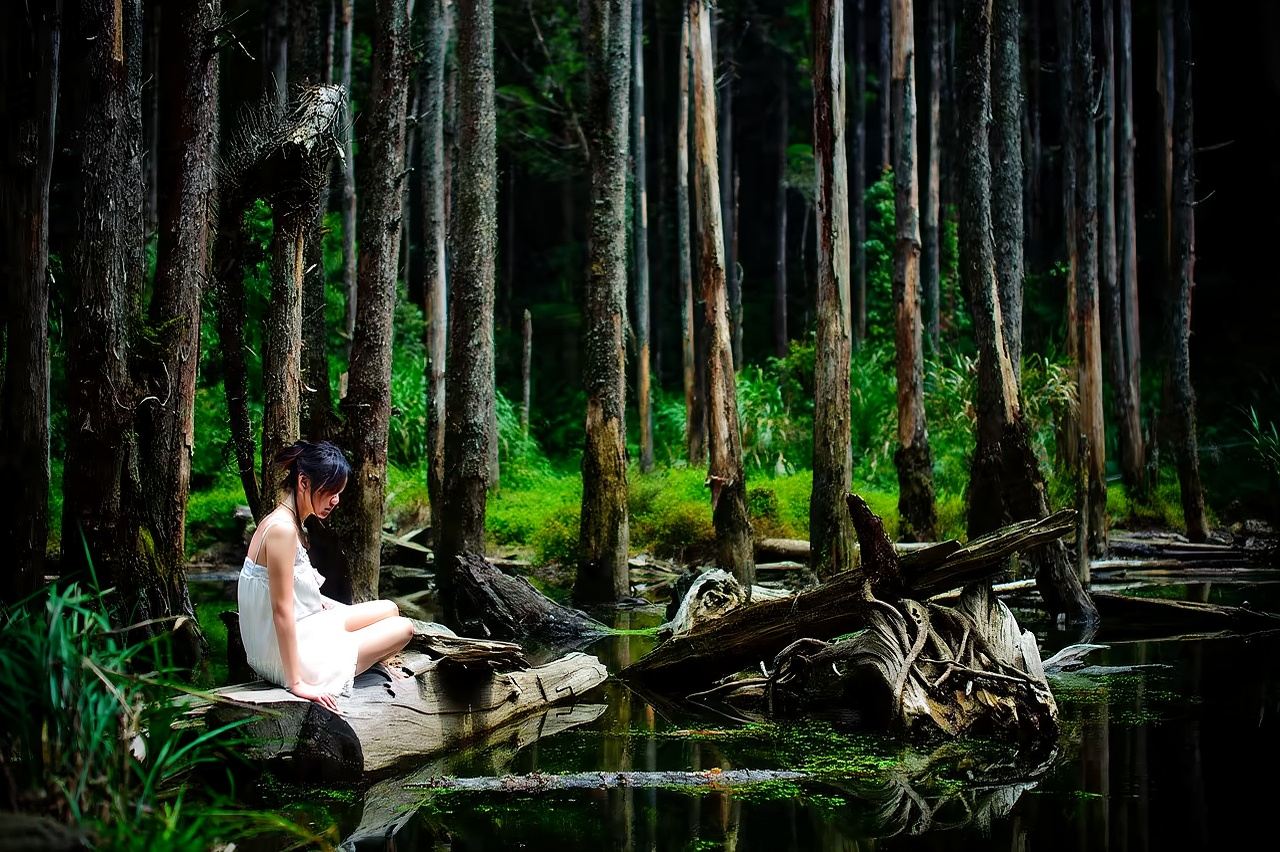 대만 관광전용셔틀{관광국 주도}~우울을 잊게 하는 숲[카풀.2인 출발}