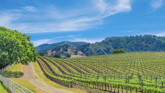 美國舊金山+ 納帕谷&金門大橋-可訂製【普通話專車-舒適純淨】