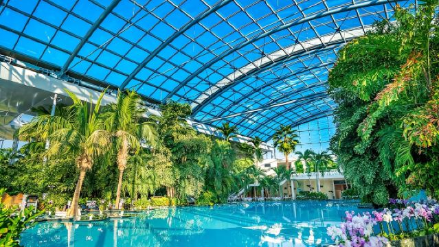 Therme Bucuresti: Entry Ticket and Transfer