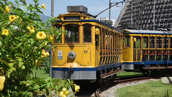 Rio de Janeiro Traditional Classic Half-Day Tour (Santa Teresa cable car+ Selaron Stairs)